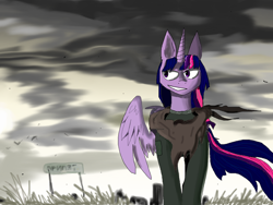 Size: 1236x927 | Tagged: safe, artist:michellethet-34, twilight sparkle, alicorn, pony, g4, chernobyl, grin, smiling, solo, twilight sparkle (alicorn)