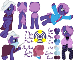 Size: 1015x823 | Tagged: safe, oc, oc only, earth pony, pony, reference sheet