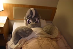 Size: 4096x2731 | Tagged: safe, silver spoon, g4, bed, fursuit, indoors, irl, looking at you, lying down, lying on bed, on back, on bed, photo, ponysuit, solo