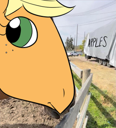 Size: 621x680 | Tagged: safe, artist:this_sl0th, applejack, earth pony, pony, g4, edited photo, fence, hoers, pickup truck, ponified animal photo, seems legit, solo, trailer, truck