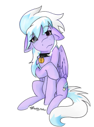 Size: 1276x1713 | Tagged: safe, artist:destiny_manticor, cloudchaser, pegasus, pony, g4, collar, commission, exclamation point, eye clipping through hair, female, floppy ears, folded wings, looking at you, mare, pet, pet collar, pet tag, simple background, sitting, smiling, smiling at you, solo, transparent background, two toned mane, wings