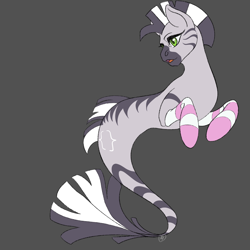 Size: 2048x2048 | Tagged: safe, artist:virillis, oc, oc only, oc:zebra north, merpony, seapony (g4), zebra, clothes, crossdressing, femboy, green eyes, male, open mouth, seaponified, simple background, socks, solo, species swap, stallion, striped socks, tail, zebra femboy, zebra oc