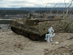 Size: 1032x774 | Tagged: safe, artist:dingopatagonico, double diamond, earth pony, g4, e-50, photo, solo, tank (vehicle), toy