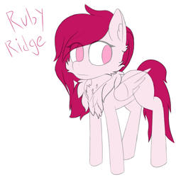 Size: 1889x1907 | Tagged: safe, artist:toricelli, oc, oc only, oc:ruby ridge, pegasus, pony, chest fluff, messy mane, simple background, sketch, solo, white background