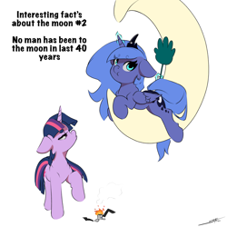 Size: 3000x3000 | Tagged: safe, artist:skitsroom, princess luna, twilight sparkle, alicorn, pony, g4, crescent moon, duo, duo female, fact, female, flyswatter, fun fact, grammar error, mare, misspelling, moon, s1 luna, satellite, simple background, twilight sparkle (alicorn), white background