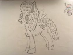 Size: 4032x3024 | Tagged: safe, artist:unlucky69, oc, oc only, oc:unlucky, hybrid, mule, male, old art, sketch, solo, traditional art