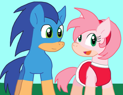 Size: 1031x794 | Tagged: safe, artist:cmara, earth pony, pony, g4, amy rose, duo, duo male and female, female, male, ponified, rule 85, sonic the hedgehog, sonic the hedgehog (series)