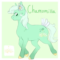 Size: 1730x1716 | Tagged: safe, artist:abbytabbys, oc, oc only, oc:chamomilla, earth pony, pony, body freckles, border, coat markings, colored hooves, daisy (flower), earth pony oc, eyelashes, female, female oc, flower, flower in hair, flower in tail, freckles, frown, gradient legs, green background, green eyes, green mane, green tail, green text, hooves, looking back, mare oc, mint mane, mint tail, old art, passepartout, raised hoof, raised leg, simple background, socks (coat markings), solo, standing on two hooves, tail, unshorn fetlocks, yellow hooves