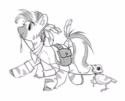 Size: 4096x3326 | Tagged: safe, artist:opalacorn, oc, oc only, oc:philani, bird, pigeon, zebra, bag, black and white, female, grayscale, leash, mare, monochrome, mouth hold, saddle bag, simple background, solo, walking, white background, zebra oc