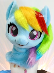 Size: 1536x2048 | Tagged: safe, artist:jssabcde, rainbow dash, pegasus, pony, g4, bust, fursuit, irl, photo, ponysuit, portrait, solo