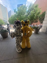 Size: 1536x2048 | Tagged: safe, flash sentry, oc, oc:ditsy dots, human, g4, duo focus, fursuit, irl, irl human, outdoors, photo, ponysuit