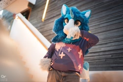 Size: 4096x2731 | Tagged: safe, artist:lutufox, artist:rs_glide08, artist:scarletwingsfs, oc, oc only, oc:blue sky, clothes, fursuit, hoodie, irl, outdoors, photo, ponysuit, solo