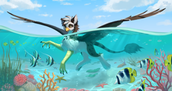 Size: 5700x3000 | Tagged: safe, artist:miurimau, oc, oc only, oc:ospreay, fish, griffon, absurd resolution, bubble, commission, coral, crepuscular rays, digital art, griffon oc, ocean, outdoors, partially submerged, seaweed, solo, spread wings, sunlight, swimming, underwater, water, wings