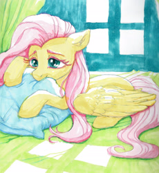 Size: 2134x2316 | Tagged: safe, artist:bcs, fluttershy, pegasus, pony, g4, biting, cute, daaaaaaaaaaaw, indoors, lidded eyes, lying down, marker drawing, pillow, pillow biting, prone, shyabetes, solo, traditional art, window