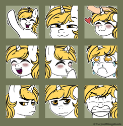 Size: 3000x3076 | Tagged: safe, artist:purple wingshade, oc, oc only, oc:srok, pony, unicorn, angry, annoyed, commission, crying, emoji, emotes, exhausted, giggling, horn, laughing, petting, smug, solo, tired, tired eyes, wave, ych result