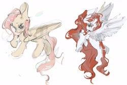 Size: 2400x1600 | Tagged: safe, artist:nya-nyanyanyanya, fluttershy, pegasus, pony, g4, duo, duo female, female, full body, red mane, red tail, simple background, tail, white background, white coat