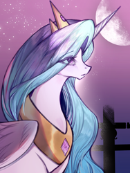 Size: 1536x2048 | Tagged: safe, artist:dagugu78943, princess celestia, alicorn, pony, g4, bust, eye clipping through hair, eyebrows, eyebrows visible through hair, female, jewelry, mare, moon, night, night sky, outdoors, regalia, sky, solo, starry night