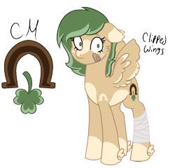 Size: 918x881 | Tagged: safe, artist:eclipsed-alienzz, oc, oc only, oc:un-lucky charm, pegasus, pony, bandage, bandaged leg, bandaid, brown coat, cutie mark, green mane, pegasus oc, reference sheet, simple background, solo, tan coat, transparent background