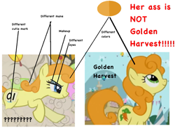 Size: 1009x744 | Tagged: safe, carrot top, golden harvest, pony, g4, background pony, caption, glitzy grain, image macro, meme, needs more jpeg, shitposting, text