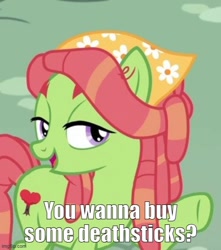 Size: 500x566 | Tagged: safe, edit, edited screencap, screencap, tree hugger, earth pony, pony, g4, make new friends but keep discord, caption, cropped, image macro, imgflip, movie reference, solo, star wars, star wars: attack of the clones, talking to viewer, text