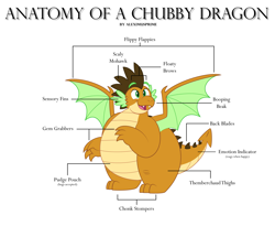 Size: 5953x4874 | Tagged: safe, artist:aleximusprime, oc, oc only, oc:alex the chubby dragon, dragon, anatomy, anatomy chart, anatomy guide, chart, dragon oc, dragonsona, fat, happy, meme, non-pony oc, northern drake, plump, simple background, solo, spread wings, white background, wings