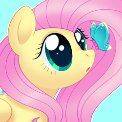 Size: 4000x4000 | Tagged: safe, artist:fizzlefer, fluttershy, butterfly, pegasus, pony, g4, absurd resolution, bust, butterfly on nose, colored pupils, cute, female, insect on nose, light blue background, looking up, mare, outline, shyabetes, simple background, solo, white outline