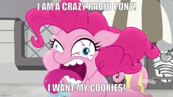 Size: 888x499 | Tagged: safe, edit, edited screencap, screencap, fluttershy, pinkie pie, earth pony, pegasus, pony, g4, my little pony: rainbow roadtrip, caption, discovery family, discovery family logo, dreamworks, image macro, imgflip, logo, movie reference, open mouth, over the hedge, solo focus, terrorize, text, tongue out