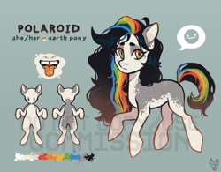 Size: 1000x778 | Tagged: safe, artist:maroonmads, oc, oc only, earth pony, pony, commission, obtrusive watermark, reference sheet, solo, watermark, ych result