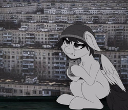 Size: 5000x4277 | Tagged: safe, artist:y_a_h_z, oc, oc only, pegasus, pony, absurd resolution, alcohol, beanie, beer, cigarette, grayscale, hat, meme, monochrome, outdoors, solo, wings