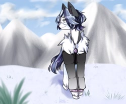 Size: 2560x2133 | Tagged: oc name needed, source needed, safe, artist:illustra, oc, oc only, earth pony, pony, clothes, cloud, ear fluff, ear piercing, earring, earth pony oc, eye clipping through hair, eyebrows, eyebrows visible through hair, front view, fur collar, goggles, grass, high res, jacket, jewelry, looking away, male, male oc, mountain, outdoors, parka, piercing, safety goggles, signature, snow, solo, stallion, stallion oc, unshorn fetlocks, winter outfit