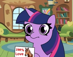 Size: 1080x847 | Tagged: safe, artist:tamers12345, twilight sparkle, horse, g4, my little pony: friendship is forever, female, fluttershy's cottage, fluttershy's cottage (interior), indoors, irl, irl horse, letter, love, parody, photo, purple mane, screencap background, solo, youtube, youtube video