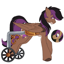 Size: 1000x1000 | Tagged: safe, artist:kazmuun, stellar eclipse, pegasus, pony, series:kazmuun's drawing every pony, g4, alternate design, blush lines, blushing, brown coat, brown hooves, cheek fluff, chin fluff, coat markings, colored, colored eartips, colored eyelashes, colored hooves, colored lineart, colored wings, countershading, disabled, dorsal stripe, ear fluff, eyebrows, eyebrows visible through hair, facial markings, flat colors, folded wings, hock fluff, hooves, large wings, long legs, long mane, long mane male, long tail, looking back, male, pale belly, pink eyes, profile, purple eyelashes, purple eyes, redesign, screencap reference, signature, simple background, solo, stallion, standing, tail, transparent background, two toned ears, two toned mane, two toned tail, two toned wings, wheelchair, white pupils, white text, wing markings, wings