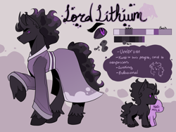 Size: 3600x2700 | Tagged: safe, artist:bunniesandbeetles, oc, oc only, oc:lord lithium, pony, umbrum, unicorn, clothes, height difference, horn, looking at you, male, reference sheet, robe, solo, stallion, umbrum oc