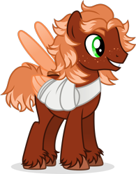 Size: 1302x1671 | Tagged: safe, artist:cirillaq, oc, oc only, oc:golden flare, pegasus, pony, bandage, male, simple background, solo, stallion, transparent background, vector