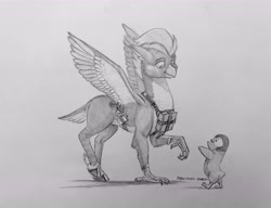 Size: 6842x5242 | Tagged: safe, artist:baron engel, oc, oc:ping wing, bird, hippogriff, penguin, book, concave belly, countershading, equipment, everfree northwest 2024, grayscale, hippogriff oc, monochrome, pencil drawing, practical clothing, realistic anatomy, spellbook, traditional art, wizard