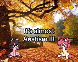 Size: 1080x852 | Tagged: safe, artist:cuiicie, oc, oc only, oc:key mash, oc:strawberry splash, bat pony, pegasus, ahoge, autumn, duo, female, leaves, misspelling, outdoors, pun, text, tree