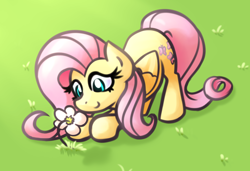 Size: 1900x1300 | Tagged: safe, artist:daromius, fluttershy, pegasus, pony, g4, female, flower, mare, outdoors, solo