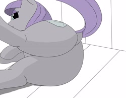 Size: 3300x2550 | Tagged: safe, artist:chikenskrach, maud pie, earth pony, pony, g4, butt, digital art, dock, female, lying down, mare, on side, plot, tail