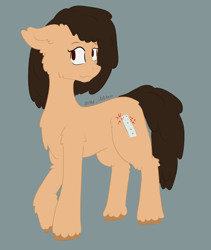 Size: 2064x2447 | Tagged: safe, artist:ollie sketchess, oc, oc only, unnamed oc, earth pony, pony, commission, nintendo, simple background, solo, wii