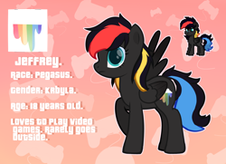 Size: 3600x2600 | Tagged: safe, oc, oc only, pegasus, pony, blue eyes, cloud, cutie mark, female, full body, games, reference sheet, solo