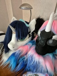 Size: 1247x1663 | Tagged: safe, oc, oc only, oc:light, oc:noir, kirin, nirik, unicorn, duo, fursuit head, horn, indoors, irl, photo, ponysuit