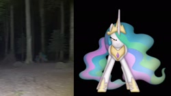 Size: 2048x1152 | Tagged: safe, artist:stormxf3, princess celestia, alicorn, pony, g4, forest, nature, solo, tree