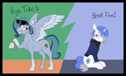 Size: 3414x2059 | Tagged: safe, artist:luxsimx, oc, oc only, oc:brisk firn, oc:high tide (lux), pegasus, pony, unicorn, brother and sister, duo, female, half-siblings, horn, male, mare, reference sheet, siblings, stallion