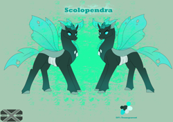 Size: 3508x2480 | Tagged: safe, artist:draconicxeno515, oc, oc only, oc:scolopendra, changedling, changeling, horn, insect wings, reference sheet, reformed, solo, wings