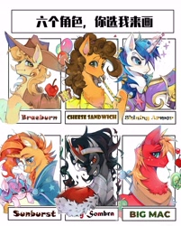 Size: 4485x5573 | Tagged: safe, artist:t4cdd, big macintosh, braeburn, cheese sandwich, king sombra, princess flurry heart, shining armor, sunburst, alicorn, earth pony, pony, unicorn, equestria girls, g4, apple, armor, balloon, blushing, bust, chest fluff, clothes, coat, cowboy hat, curved horn, emanata, fangs, female, filly, foal, food, frame, glasses, glowing, glowing horn, hat, horn, jacket, jewelry, looking at you, male, party horn, regalia, simple background, six fanarts, smiling, sparkles, stallion, straw in mouth, text, white background, yoke