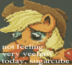 Size: 720x647 | Tagged: safe, applejack, earth pony, pony, g4, alcohol, apple, applejack is not amused, beer, deep fried meme, drunk, female, food, freckles, hat, hoof on cheek, mare, meme, needs more jpeg, sad, solo, text, unamused, yeehaw