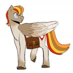 Size: 1800x1800 | Tagged: safe, artist:slapearl, oc, oc only, pegasus, pony, bag, brown coat, folded wings, full body, multicolored mane, multicolored tail, pegasus oc, pony oc, raised hoof, simple background, stallion oc, tail, tan coat, white background, wings