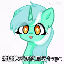 Size: 720x720 | Tagged: safe, artist:shichizhaola, lyra heartstrings, pony, unicorn, g4, animated, big eyes, bow, cat ears, chinese, colored pupils, eye clipping through hair, fake moustache, female, hair bow, horn, lofter, looking at you, mare, open mouth, simple background, smiling, solo, sound, talking, text, unicorn horn, upper body, webm, whiskers, white background, yellow pupils