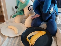 Size: 4080x3060 | Tagged: artist needed, safe, princess celestia, princess luna, alicorn, pony, g4, banana, banana peel, duo, eating, female, food, herbivore, indoors, irl, lying down, photo, plate, plushie, prone, royal sisters, siblings, sisters