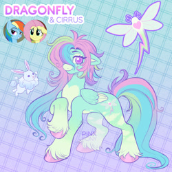 Size: 1900x1900 | Tagged: safe, artist:pinxpony, fluttershy, rainbow dash, oc, oc:dragonfly, pegasus, pony, rabbit, g4, abstract background, animal, coat markings, facial markings, female, floppy ears, fusion:fluttershy, fusion:rainbow dash, gradient background, hair over one eye, looking at you, mare, multicolored hair, pale belly, smiling, smiling at you, snip (coat marking), solo, unshorn fetlocks